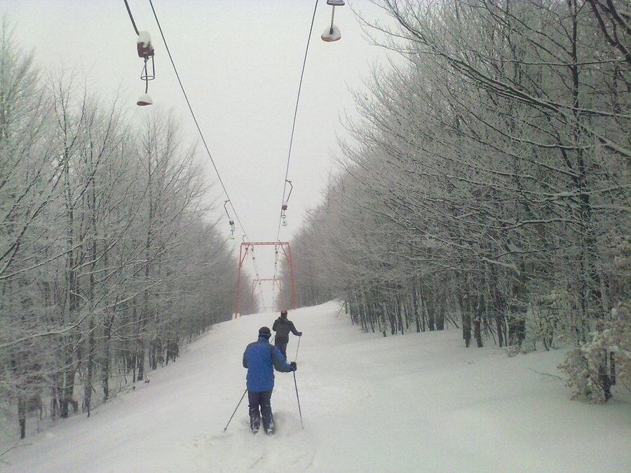 08032010750.jpg