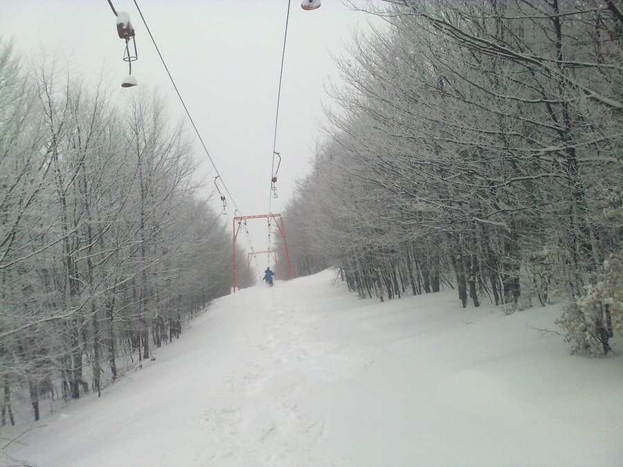 08032010751.jpg