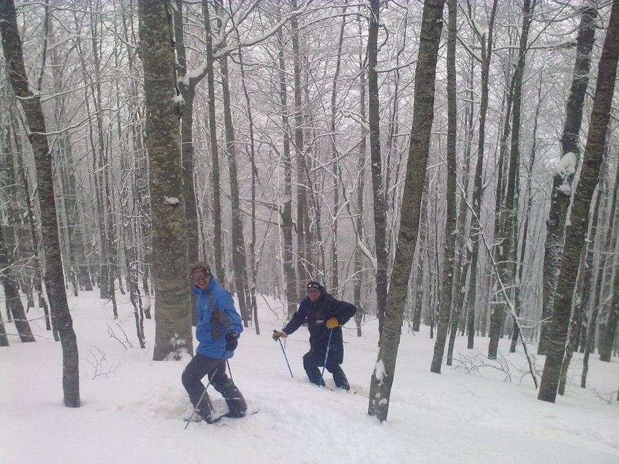 08032010753.jpg
