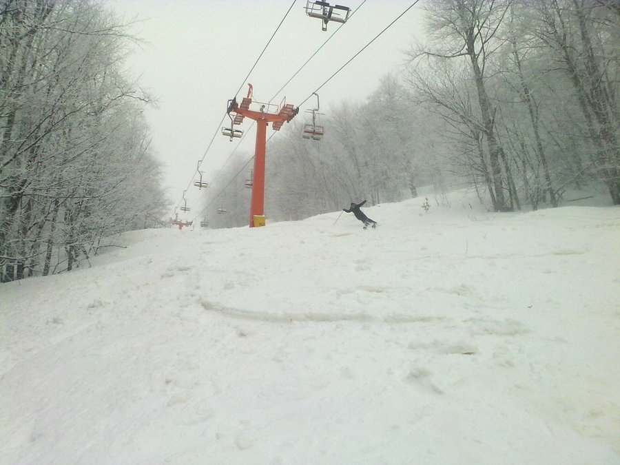 10032010761.jpg