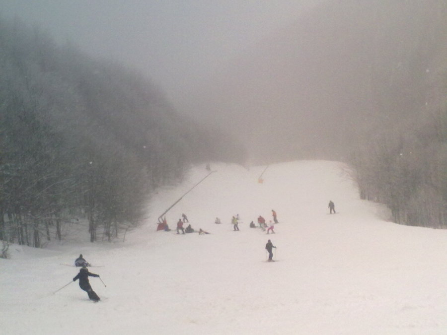 10032010766.jpg