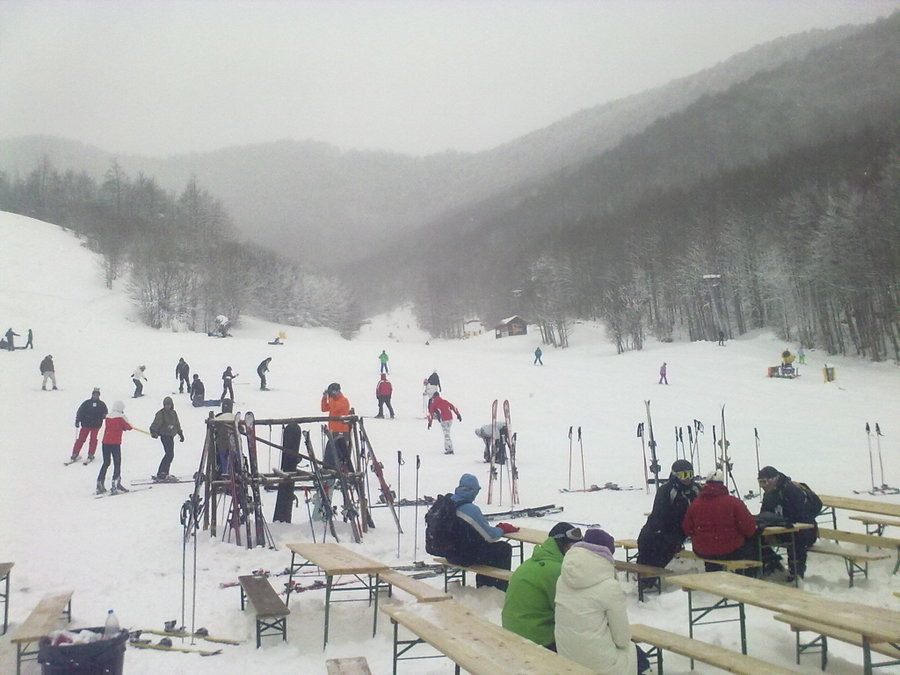 10032010769.jpg