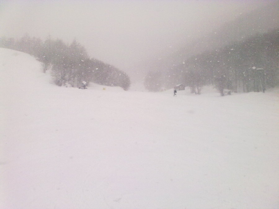 10032010774.jpg