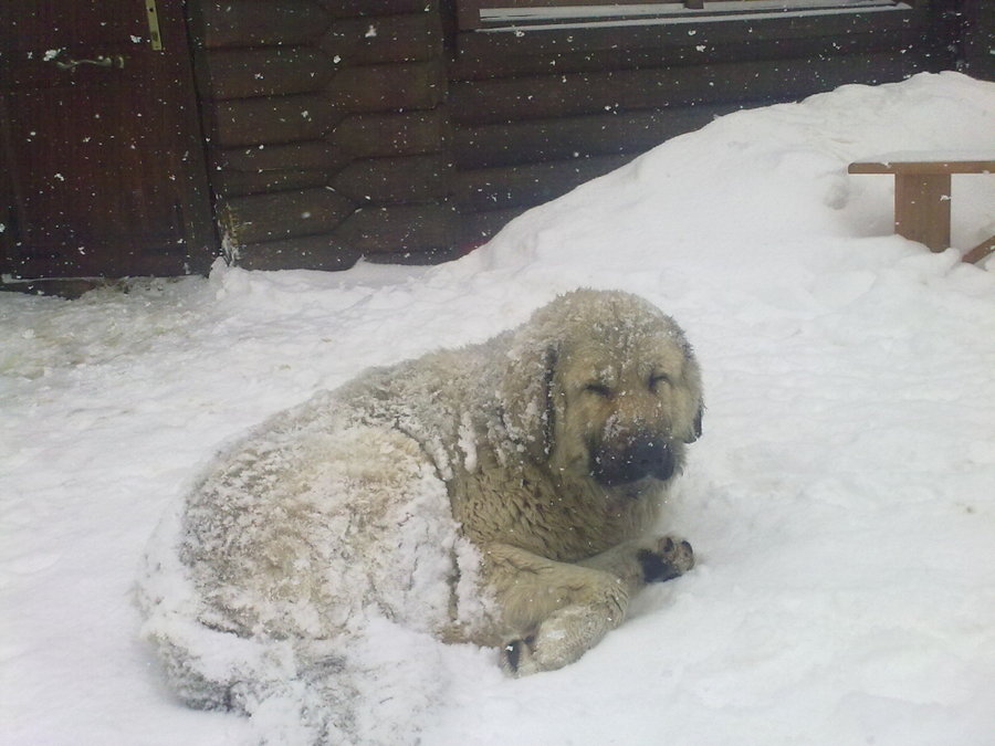 10032010775.jpg