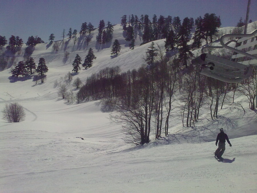 16032010801.jpg