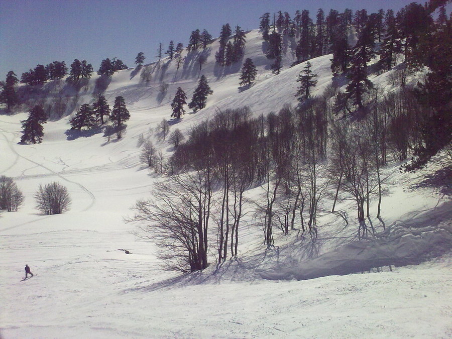 16032010802.jpg