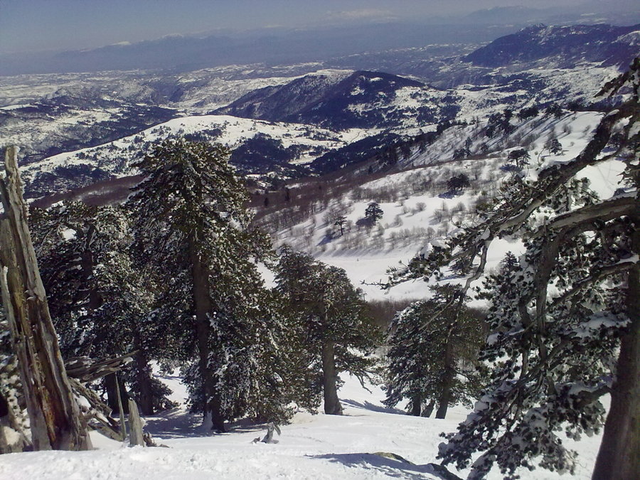 16032010809.jpg