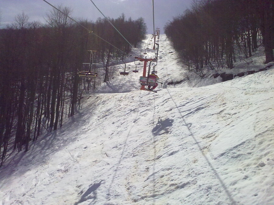 22032010863.jpg