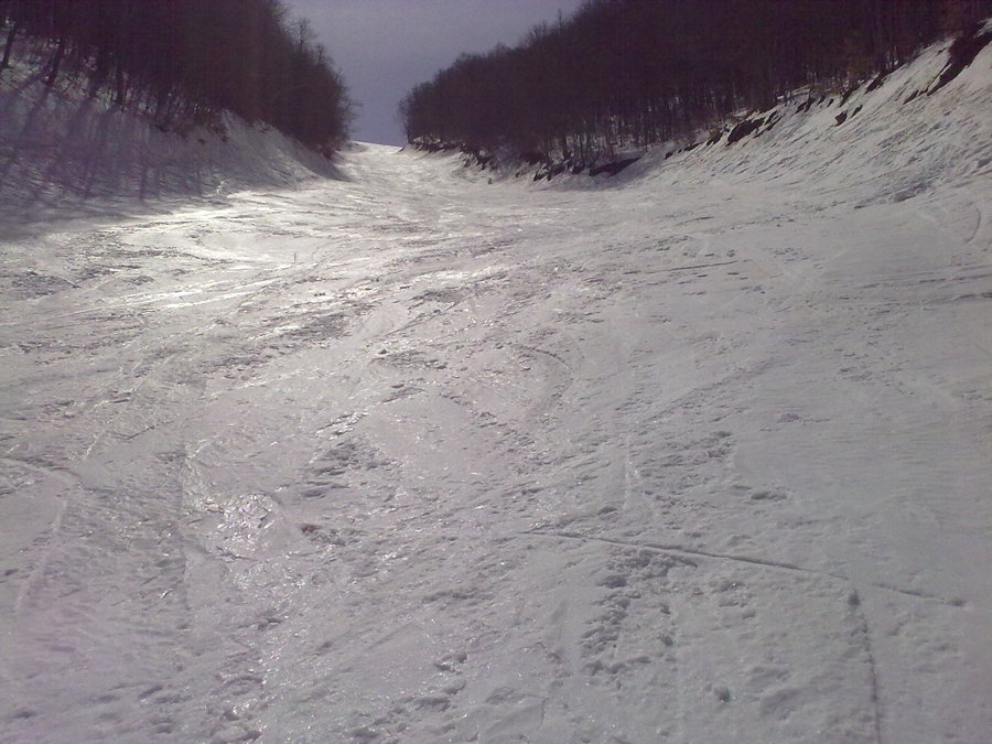 22032010864.jpg