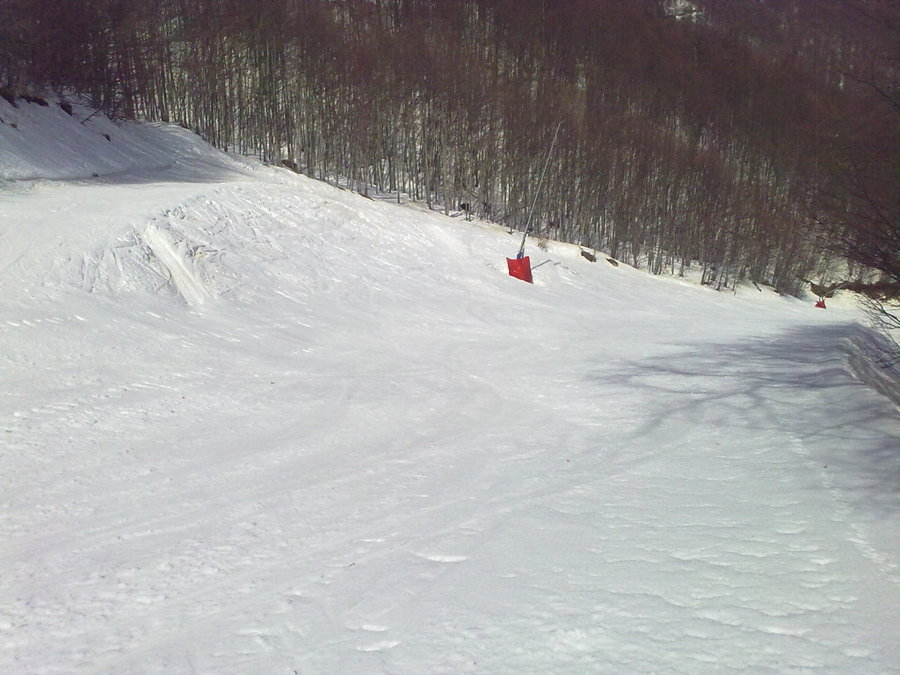 22032010865.jpg