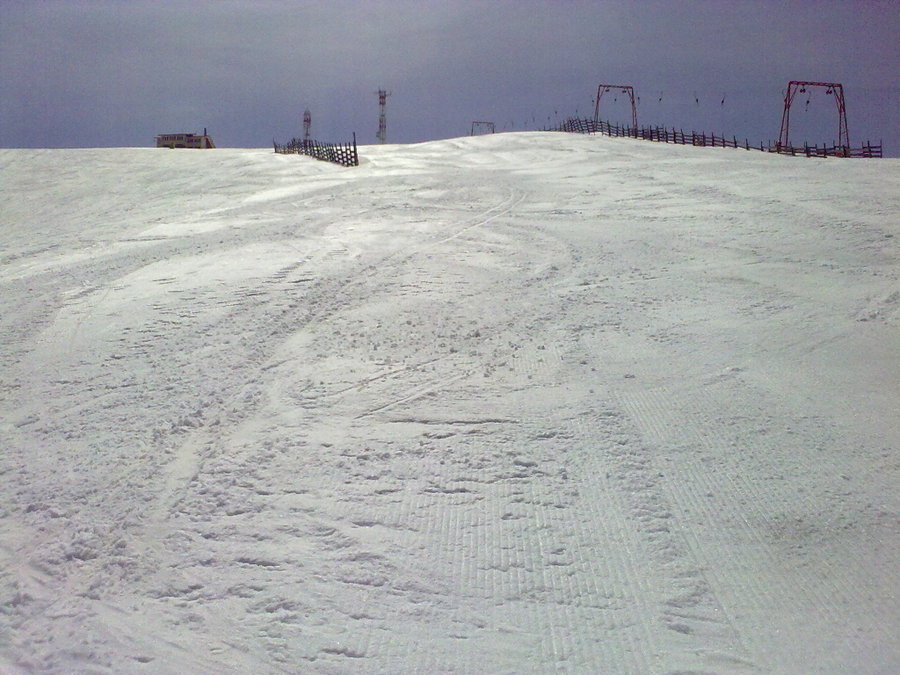 22032010868.jpg
