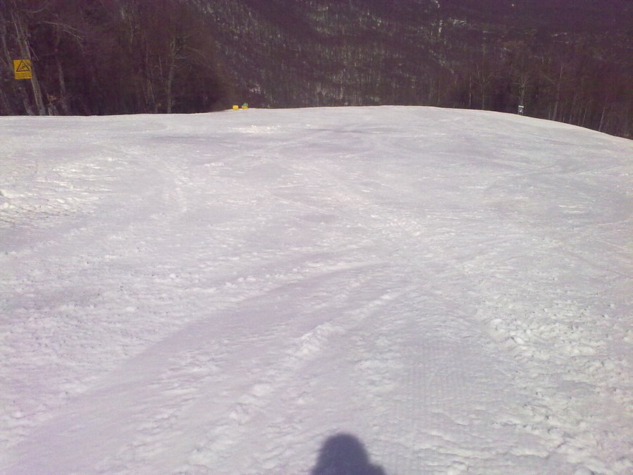 22032010869.jpg